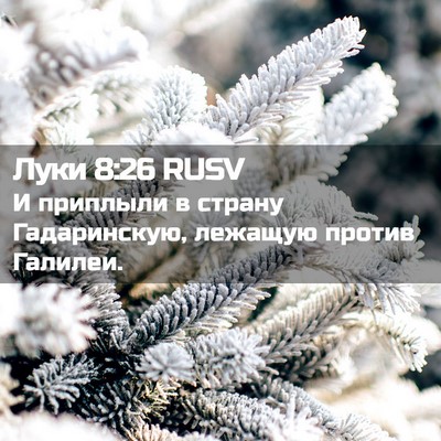 Picture 02 - Луки 8:26 RUSV - И приплыли в страну - Bible Verse Picture