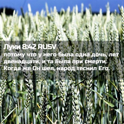 Picture 02 - Луки 8:42 RUSV - потому что у него была одна - Bible Verse Picture