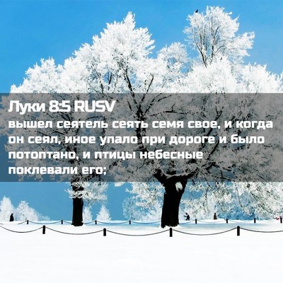 Picture 02 - Луки 8:5 RUSV - вышел сеятель сеять семя - Bible Verse Picture