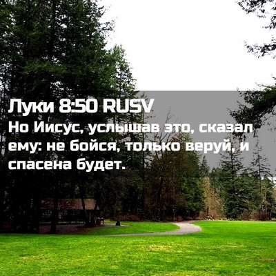 Picture 02 - Луки 8:50 RUSV - Но Иисус, услышав это, - Bible Verse Picture