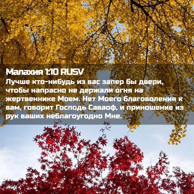 Picture 02 - Малахия 1:10 RUSV - Лучше кто-нибудь из вас - Bible Verse Picture