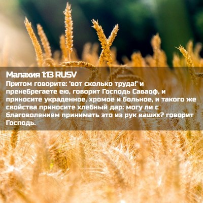 Picture 02 - Малахия 1:13 RUSV - Притом говорите: 'вот - Bible Verse Picture
