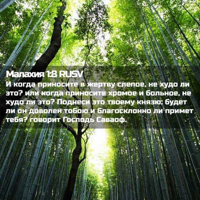 Picture 02 - Малахия 1:8 RUSV - И когда приносите в жертву - Bible Verse Picture