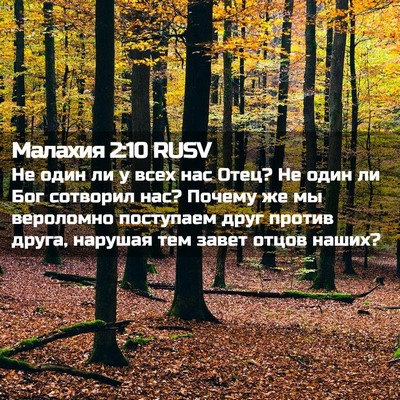 Picture 02 - Малахия 2:10 RUSV - Не один ли у всех нас Отец? - Bible Verse Picture