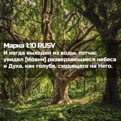 Picture 02 - Марка 1:10 RUSV - И когда выходил из воды, - Bible Verse Picture