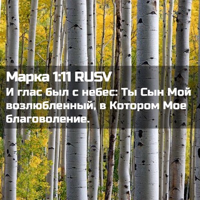 Picture 02 - Марка 1:11 RUSV - И глас был с небес: Ты Сын - Bible Verse Picture