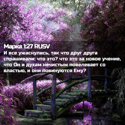 Picture 02 - Марка 1:27 RUSV - И все ужаснулись, так что - Bible Verse Picture