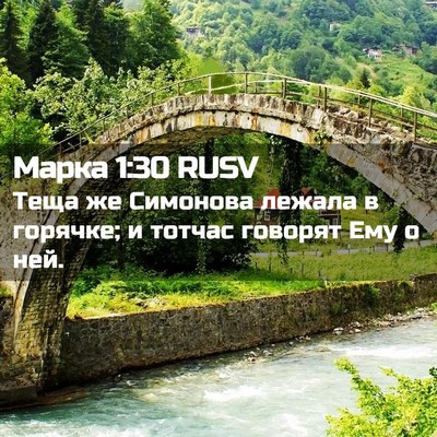 Picture 02 - Марка 1:30 RUSV - Теща же Симонова лежала в - Bible Verse Picture