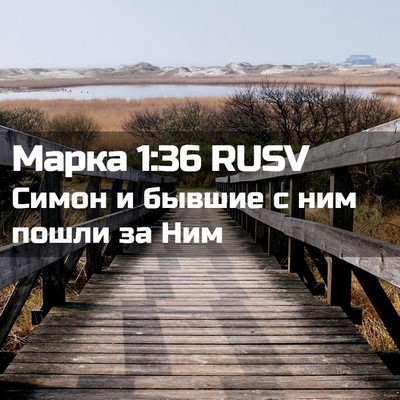 Picture 02 - Марка 1:36 RUSV - Симон и бывшие с ним пошли - Bible Verse Picture
