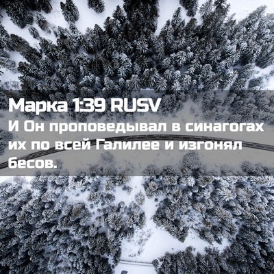 Picture 02 - Марка 1:39 RUSV - И Он проповедывал в - Bible Verse Picture