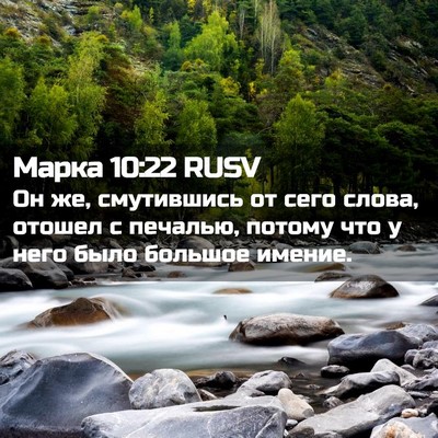 Picture 02 - Марка 10:22 RUSV - Он же, смутившись от сего - Bible Verse Picture