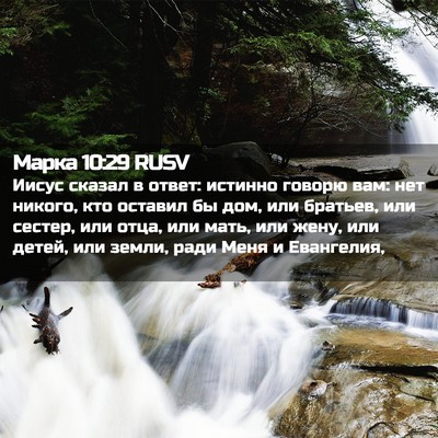 Picture 02 - Марка 10:29 RUSV - Иисус сказал в ответ: - Bible Verse Picture