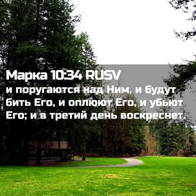 Picture 02 - Марка 10:34 RUSV - и поругаются над Ним, и - Bible Verse Picture