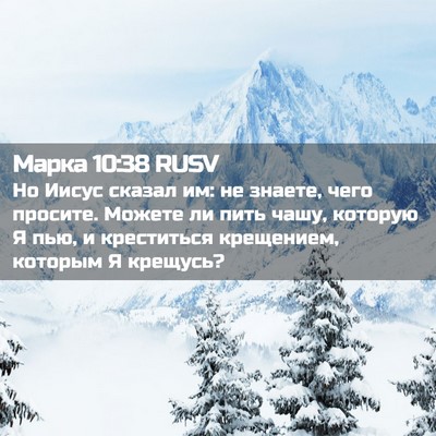 Picture 02 - Марка 10:38 RUSV - Но Иисус сказал им: не - Bible Verse Picture