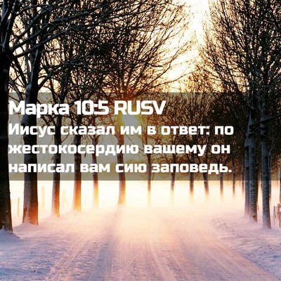 Picture 02 - Марка 10:5 RUSV - Иисус сказал им в ответ: по - Bible Verse Picture