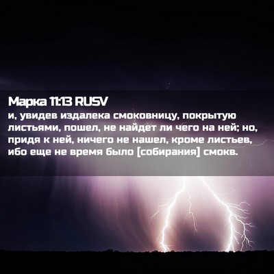 Picture 02 - Марка 11:13 RUSV - и, увидев издалека - Bible Verse Picture