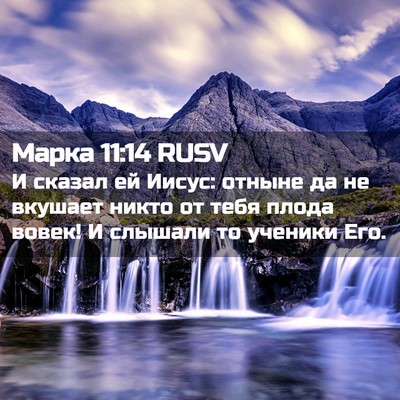Picture 02 - Марка 11:14 RUSV - И сказал ей Иисус: отныне - Bible Verse Picture