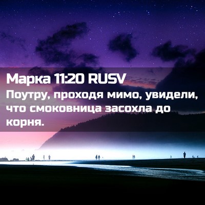 Picture 02 - Марка 11:20 RUSV - Поутру, проходя мимо, - Bible Verse Picture
