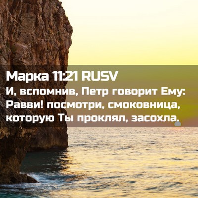 Picture 02 - Марка 11:21 RUSV - И, вспомнив, Петр говорит - Bible Verse Picture