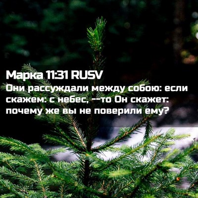 Picture 02 - Марка 11:31 RUSV - Они рассуждали между - Bible Verse Picture