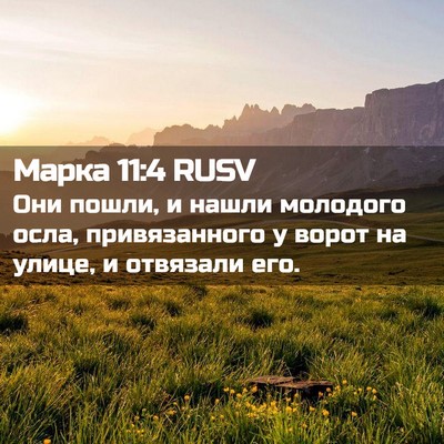 Picture 02 - Марка 11:4 RUSV - Они пошли, и нашли молодого - Bible Verse Picture