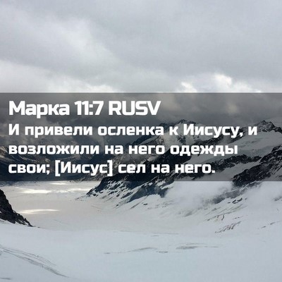 Picture 02 - Марка 11:7 RUSV - И привели осленка к Иисусу, - Bible Verse Picture