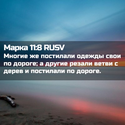 Picture 02 - Марка 11:8 RUSV - Многие же постилали одежды - Bible Verse Picture