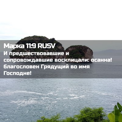 Picture 02 - Марка 11:9 RUSV - И предшествовавшие и - Bible Verse Picture