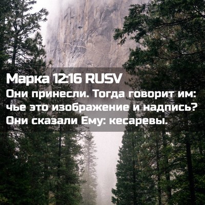 Picture 02 - Марка 12:16 RUSV - Они принесли. Тогда - Bible Verse Picture