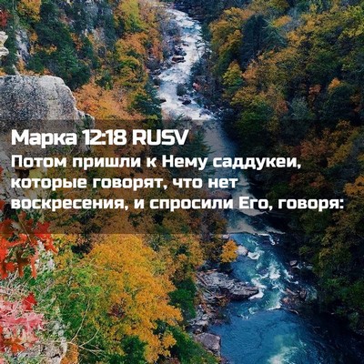 Picture 02 - Марка 12:18 RUSV - Потом пришли к Нему - Bible Verse Picture