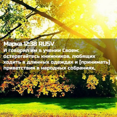 Picture 02 - Марка 12:38 RUSV - И говорил им в учении - Bible Verse Picture