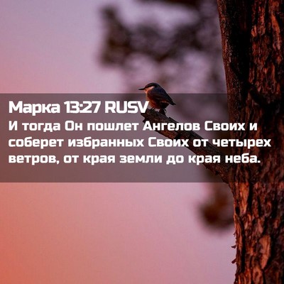 Picture 02 - Марка 13:27 RUSV - И тогда Он пошлет Ангелов - Bible Verse Picture