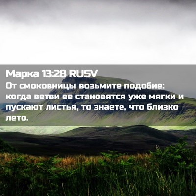 Picture 02 - Марка 13:28 RUSV - От смоковницы возьмите - Bible Verse Picture