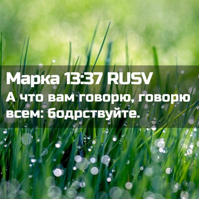 Picture 02 - Марка 13:37 RUSV - А что вам говорю, говорю - Bible Verse Picture