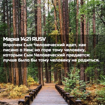 Picture 02 - Марка 14:21 RUSV - Впрочем Сын Человеческий - Bible Verse Picture