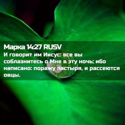 Picture 02 - Марка 14:27 RUSV - И говорит им Иисус: все вы - Bible Verse Picture