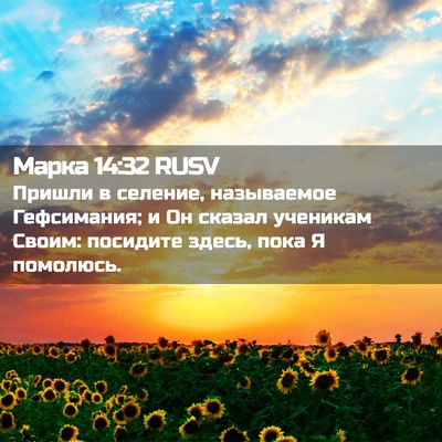 Picture 02 - Марка 14:32 RUSV - Пришли в селение, - Bible Verse Picture