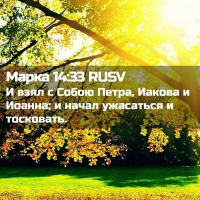 Picture 02 - Марка 14:33 RUSV - И взял с Собою Петра, - Bible Verse Picture