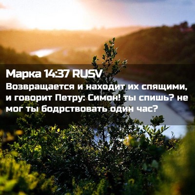 Picture 02 - Марка 14:37 RUSV - Возвращается и находит их - Bible Verse Picture