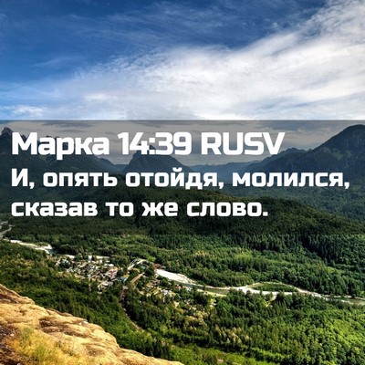 Picture 02 - Марка 14:39 RUSV - И, опять отойдя, молился, - Bible Verse Picture