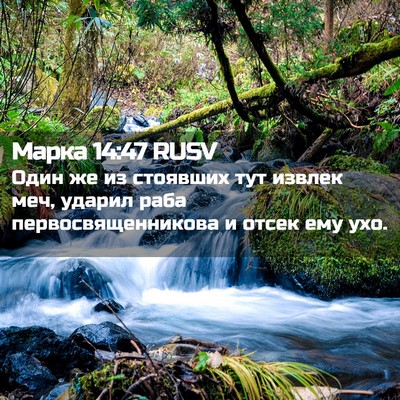 Picture 02 - Марка 14:47 RUSV - Один же из стоявших тут - Bible Verse Picture