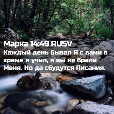 Picture 02 - Марка 14:49 RUSV - Каждый день бывал Я с вами - Bible Verse Picture