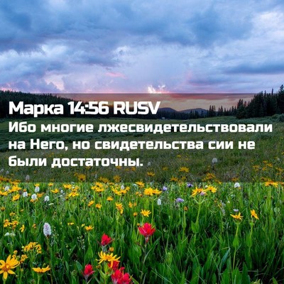 Picture 02 - Марка 14:56 RUSV - Ибо многие - Bible Verse Picture