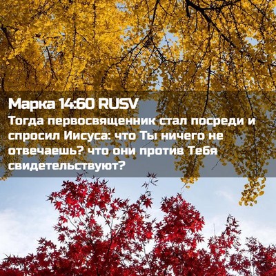 Picture 02 - Марка 14:60 RUSV - Тогда первосвященник стал - Bible Verse Picture