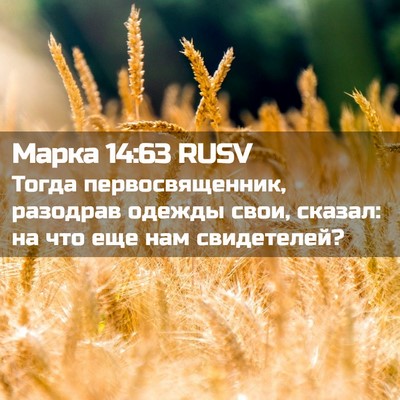 Picture 02 - Марка 14:63 RUSV - Тогда первосвященник, - Bible Verse Picture