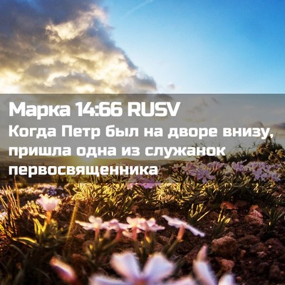 Picture 02 - Марка 14:66 RUSV - Когда Петр был на дворе - Bible Verse Picture