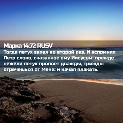 Picture 02 - Марка 14:72 RUSV - Тогда петух запел во - Bible Verse Picture