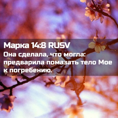 Picture 02 - Марка 14:8 RUSV - Она сделала, что могла: - Bible Verse Picture