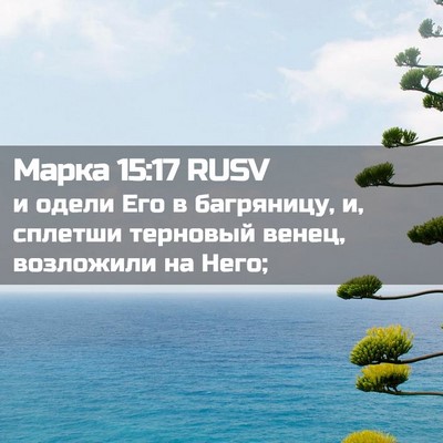 Picture 02 - Марка 15:17 RUSV - и одели Его в багряницу, и, - Bible Verse Picture