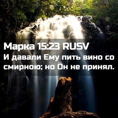 Picture 02 - Марка 15:23 RUSV - И давали Ему пить вино со - Bible Verse Picture